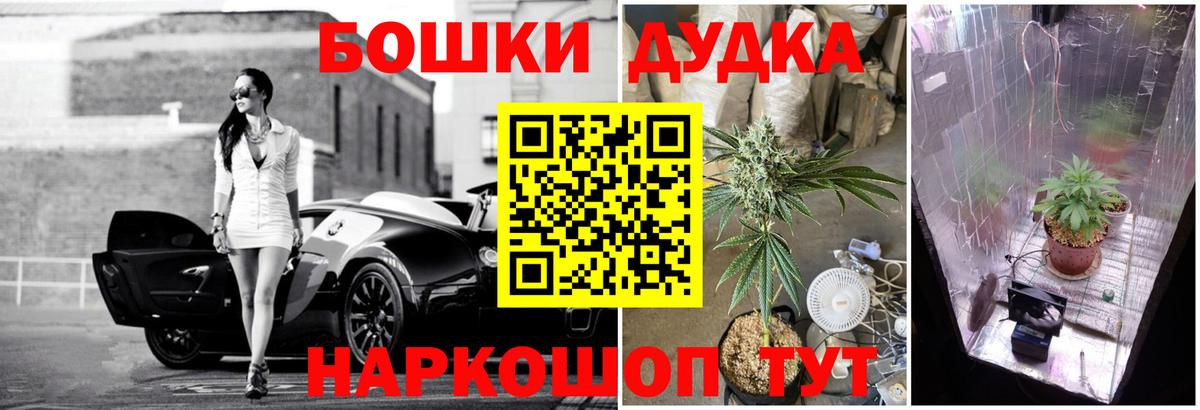 Марихуана сатива Луга